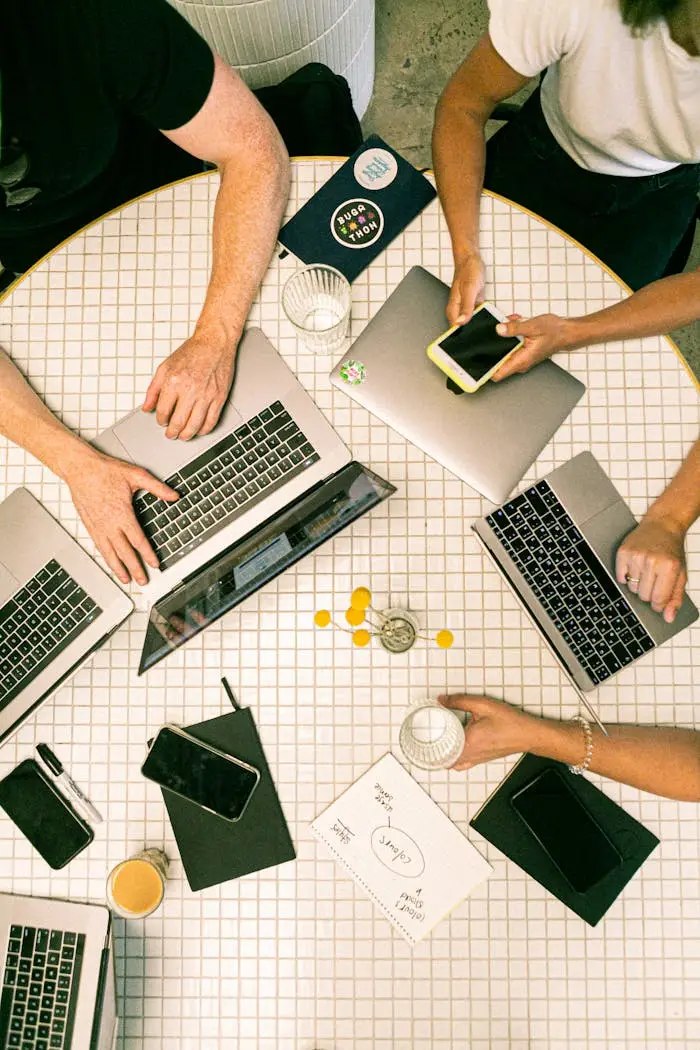 Servicii de digital marketing, publicitate online și social media - WB Develop
